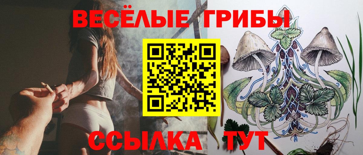 Псилоцибиновые грибы мухоморы Новочеркасск